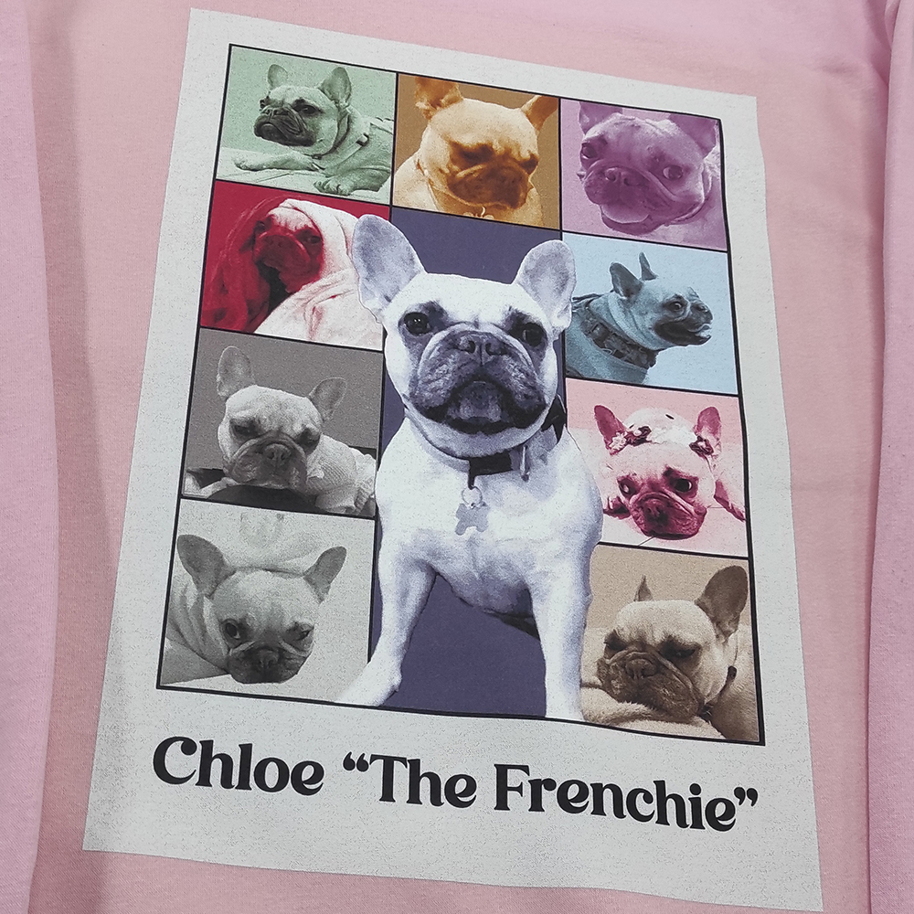 camiseta personalizada frenchie